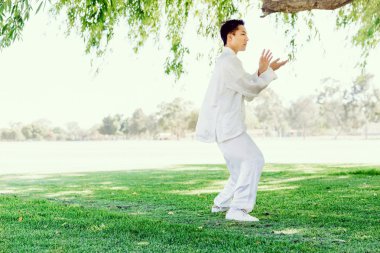 Yakışıklı adam Thai Chi yapıyor.