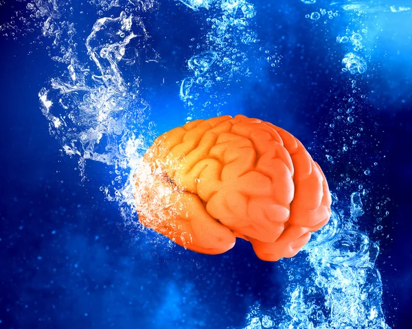 Cerveau sous l'eau — Photo