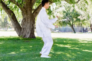 Yakışıklı adam Thai Chi yapıyor.