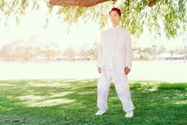 Yakışıklı adam Thai Chi yapıyor.