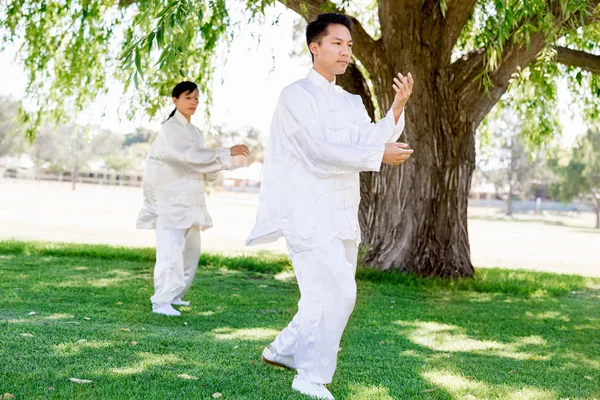 公園でタイの chi を練習する人々 — ストック写真