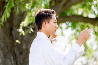 Yakışıklı adam Thai Chi yapıyor.