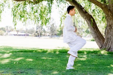 Yakışıklı adam Thai Chi yapıyor.