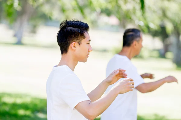 Människor som utövar thai chi i park — Stockfoto