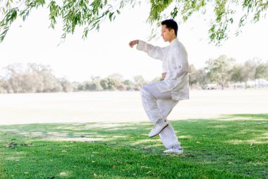 Yakışıklı adam Thai Chi yapıyor.