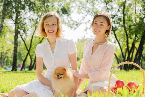 Nel parco con animali domestici amorevoli — Foto Stock