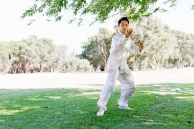 Yakışıklı adam Thai Chi yapıyor.