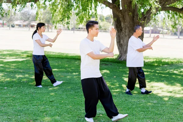 Personnes pratiquant le thai chi dans le parc — Photo