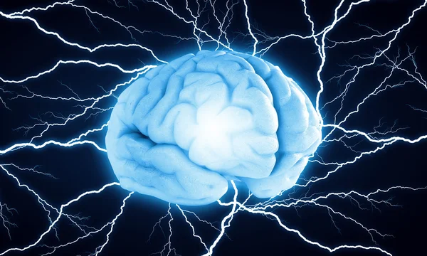 Цифровой мозг человека — стоковое фото