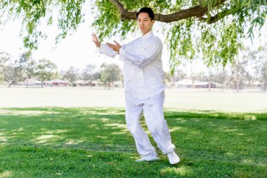 Yakışıklı adam Thai Chi yapıyor.