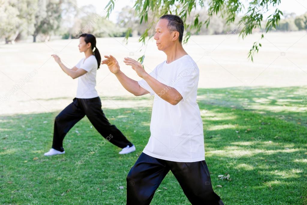 People practicing thai chi in park