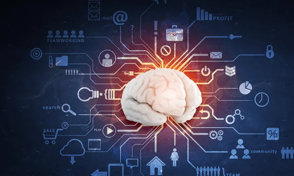 Digital human brain — Stock Photo, Image