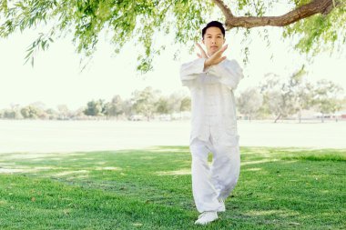 Yakışıklı adam Thai Chi yapıyor.