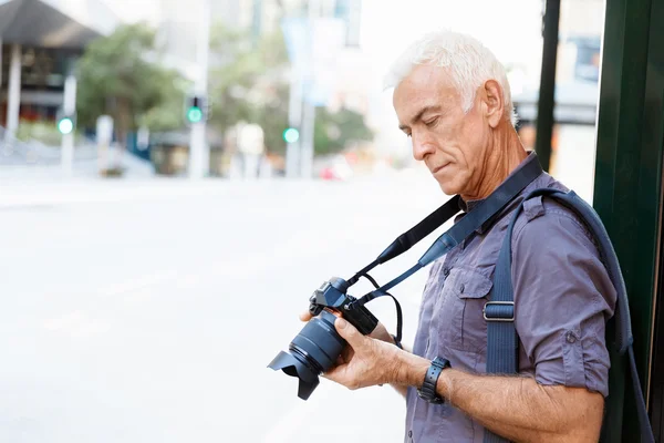 À la recherche de bonnes pousses — Photo