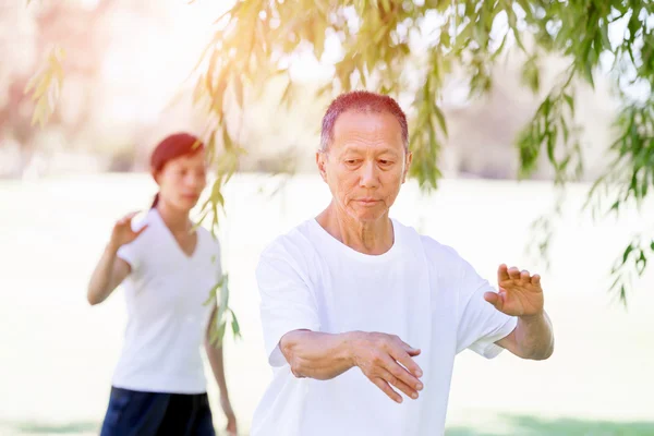 Lidé cvičí Tai-chi v parku — Stock fotografie