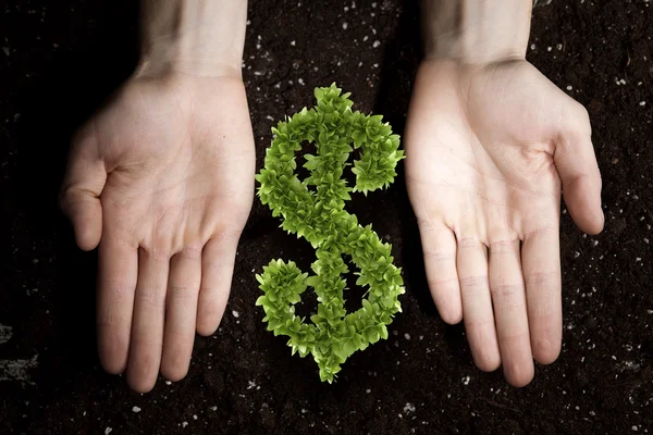 Rich soil for your income — Stock Photo, Image