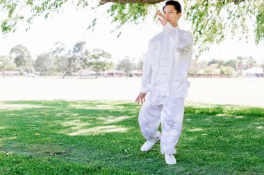 Yakışıklı adam Thai Chi yapıyor.