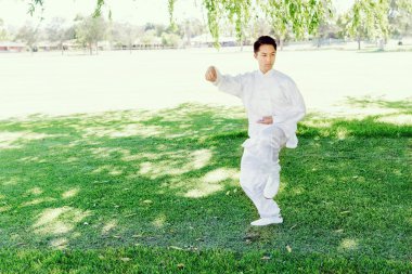 Yakışıklı adam Thai Chi yapıyor.