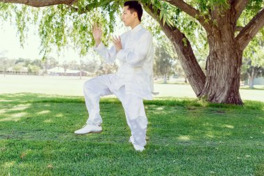 Yakışıklı adam Thai Chi yapıyor.