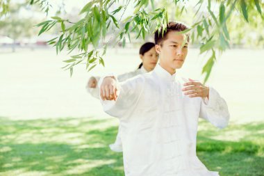 İnsanlar Park Thai chi