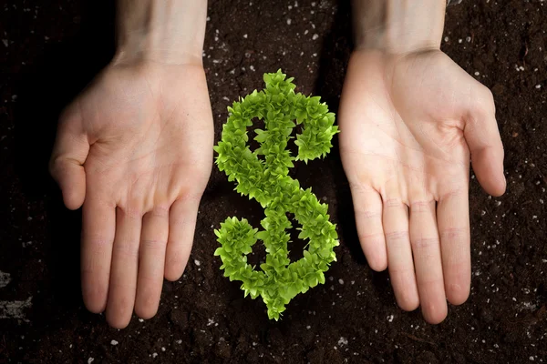 Rich soil for your income — Stock Photo, Image