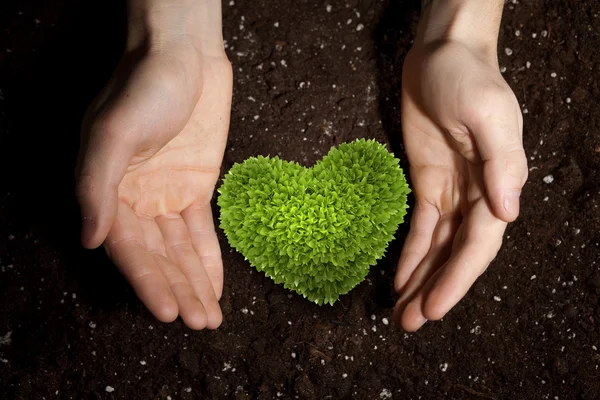 Met liefde en zorg voor onze natuur — Stockfoto