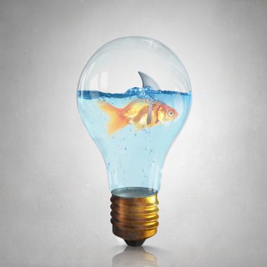 Köpekbalığı ile altın balık çevir