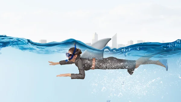 Haai uit zakelijke wereld — Stockfoto