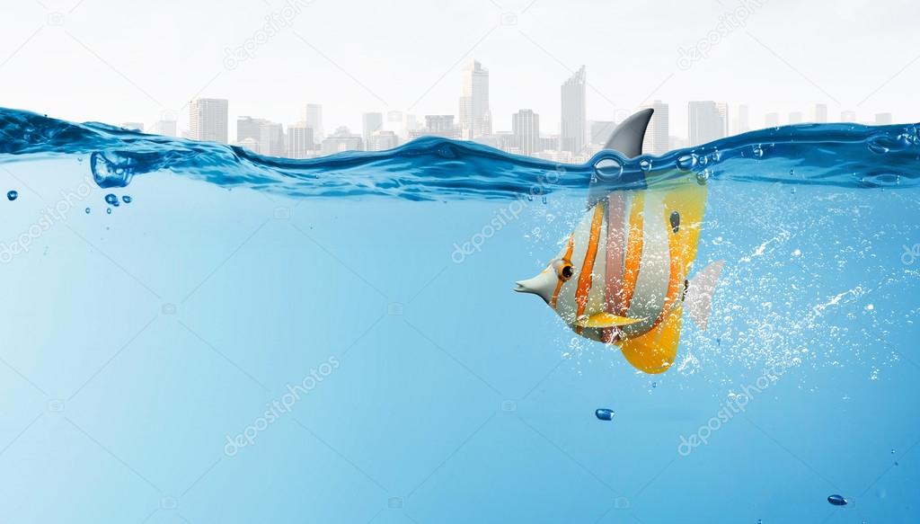Exotic fish with shark flip