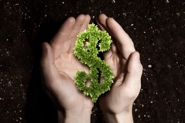 Eco gröna pengar tecken — Stockfoto