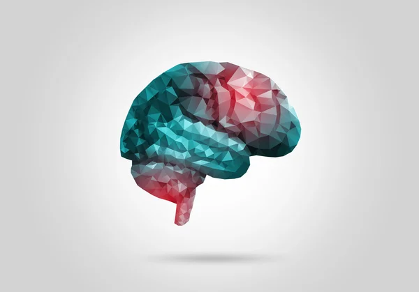 Creierul uman digital — Fotografie, imagine de stoc