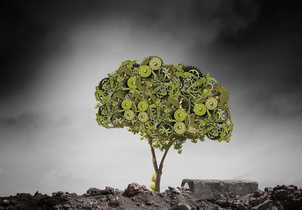 Getriebe grüner Baum — Stockfoto