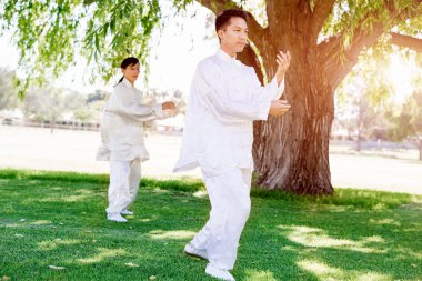 İnsanlar Park Thai chi