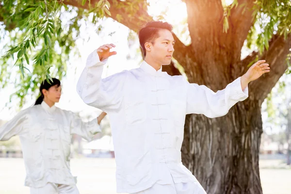 Personnes pratiquant le thai chi dans le parc — Photo