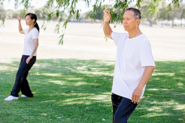 Människor som utövar thai chi i park — Stockfoto