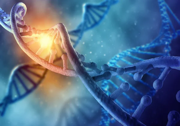 DNA molecuul conceptuele afbeelding — Stockfoto