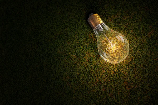 Žárovka na trávě — Stock fotografie