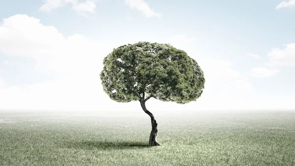 Γρανάζια πράσινο δέντρο — Φωτογραφία Αρχείου