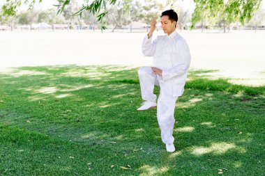 Yakışıklı adam Thai Chi yapıyor.