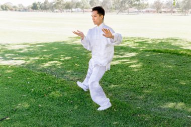 Yakışıklı adam Thai Chi yapıyor.