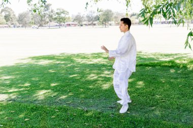 Yakışıklı adam Thai Chi yapıyor.