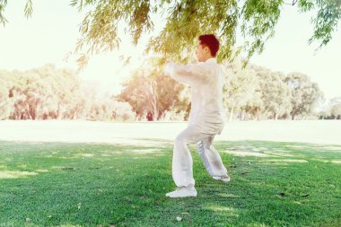 Yakışıklı adam Thai Chi yapıyor.