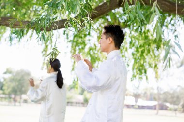 İnsanlar Park Thai chi