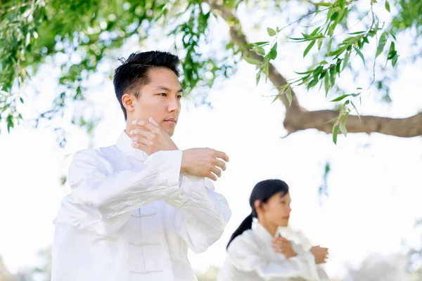 Schöner Mann praktiziert thai chi — Stockfoto