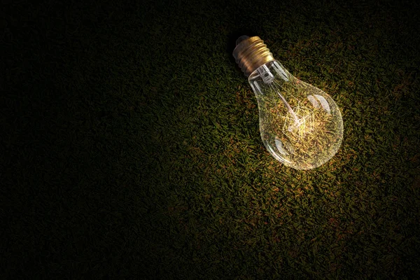 草地上的灯泡 — 图库照片