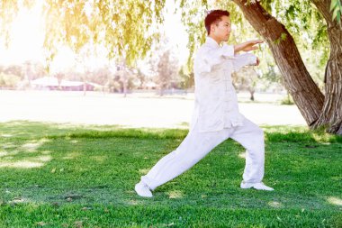 Yakışıklı adam Thai Chi yapıyor.