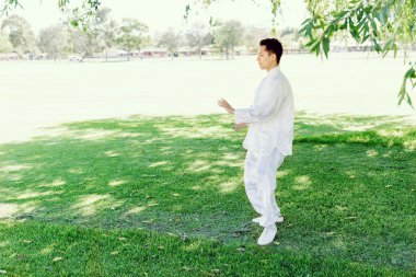 Yakışıklı adam Thai Chi yapıyor.