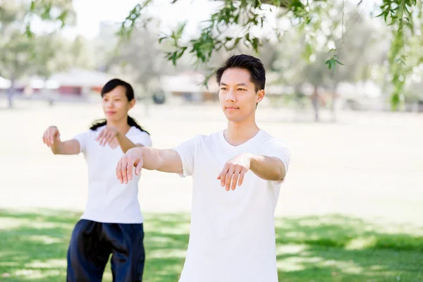 사람들이 공원에서 타이 치 연습 — 스톡 사진