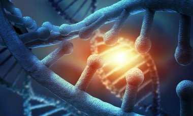 DNA molekülü kavramsal görüntü