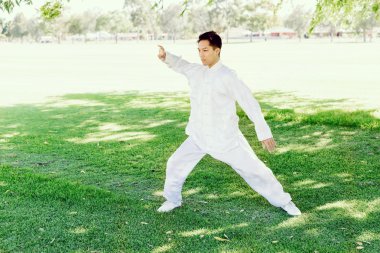 Yakışıklı adam Thai Chi yapıyor.